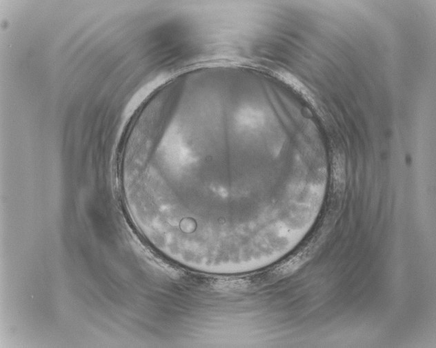 X0000070401466200607072232