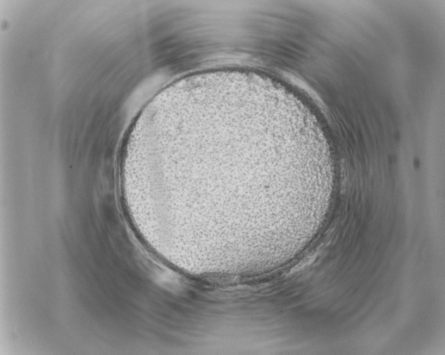 X0000070401467200607072232