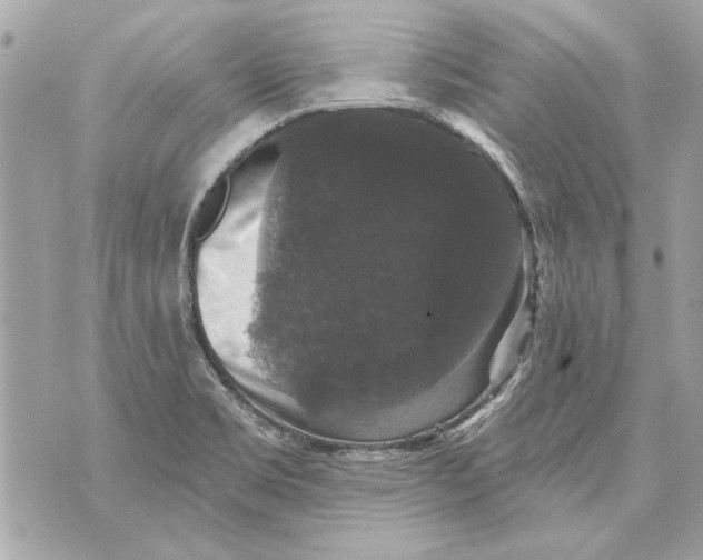 X0000070401469200607072232