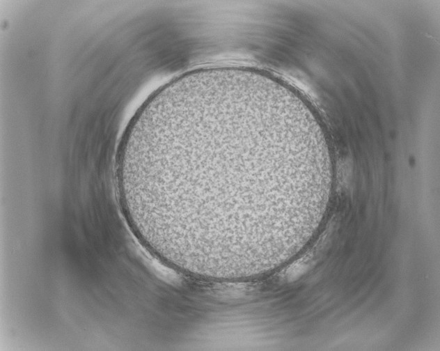 X0000070401470200607072232