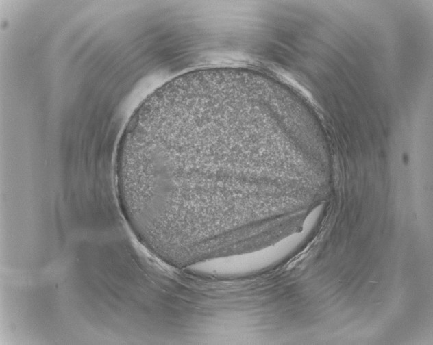 X0000070401471200607072232