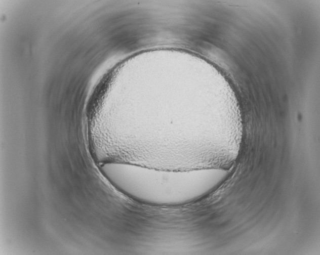 X0000070401472200607072232