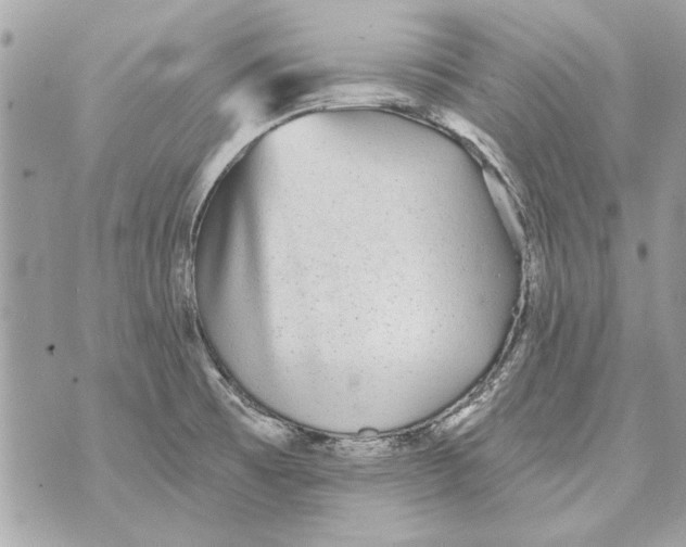 X0000070401473200607072232