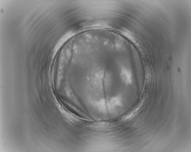 X0000070401474200607072232