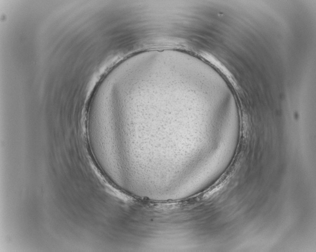 X0000070401477200607072232