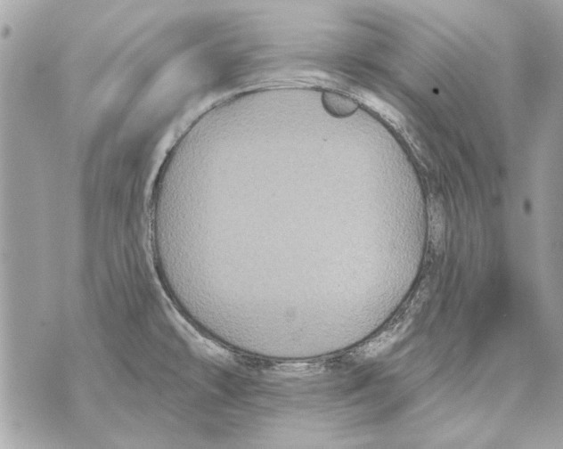 X0000070401478200607072232