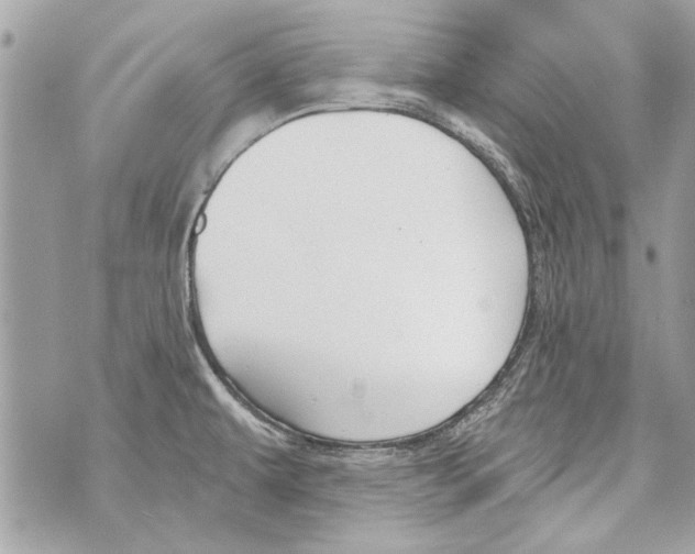 X0000070401479200607072232