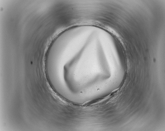 X0000070401480200607072232