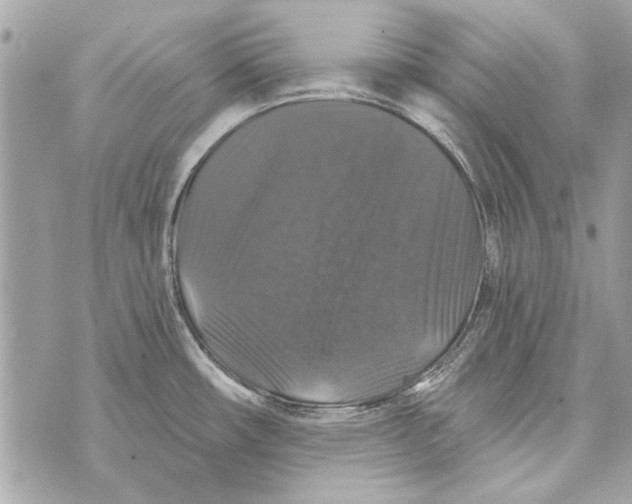 X0000070401482200607072232