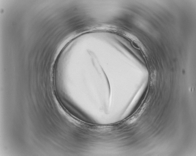 X0000070401483200607072232