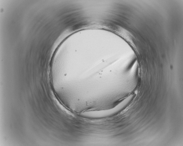 X0000070401484200607072232