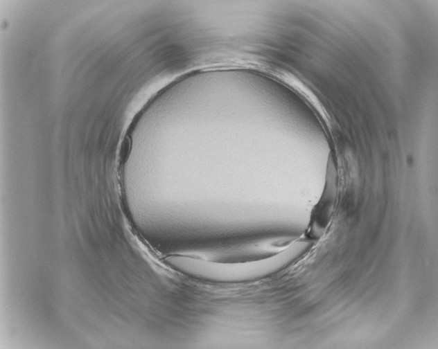 X0000070401485200607072232