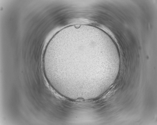 X0000070401488200607072231