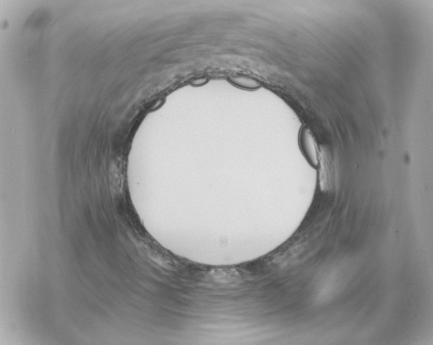 X0000070401491200607072231