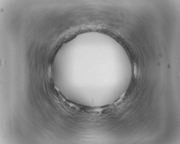 X0000070401492200607072231