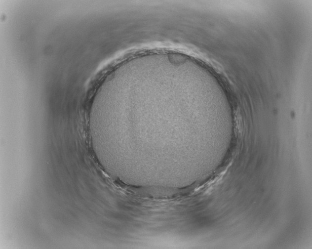 X0000070401494200607072231