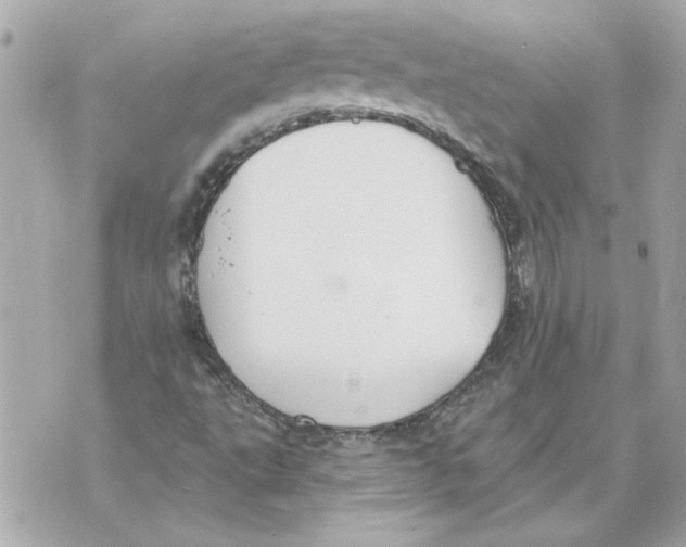 X0000070401495200607072231