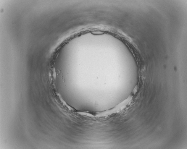 X0000070401496200607072231