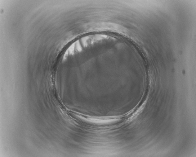 X0000070401497200607072231