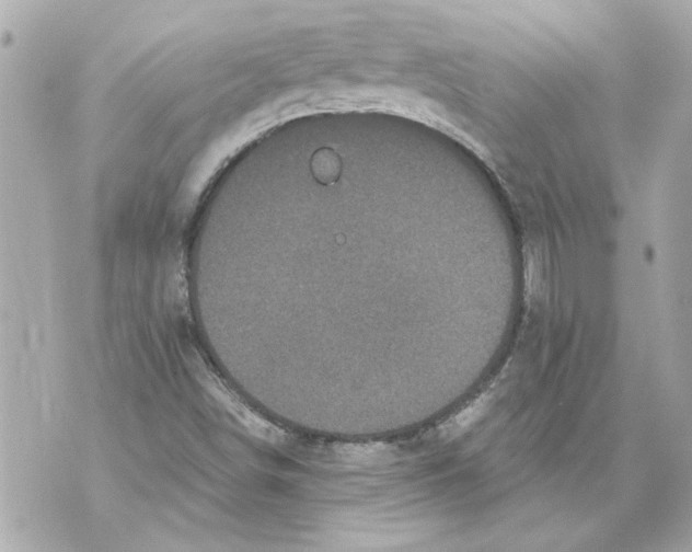 X0000070401498200607072231