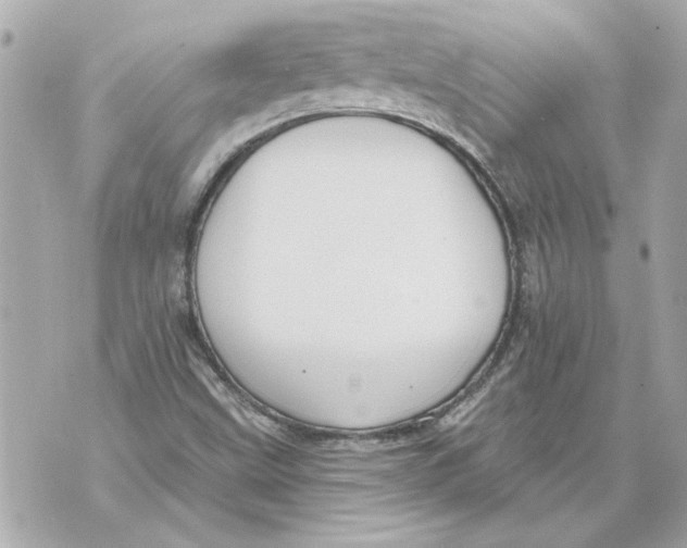 X0000070401499200607072231