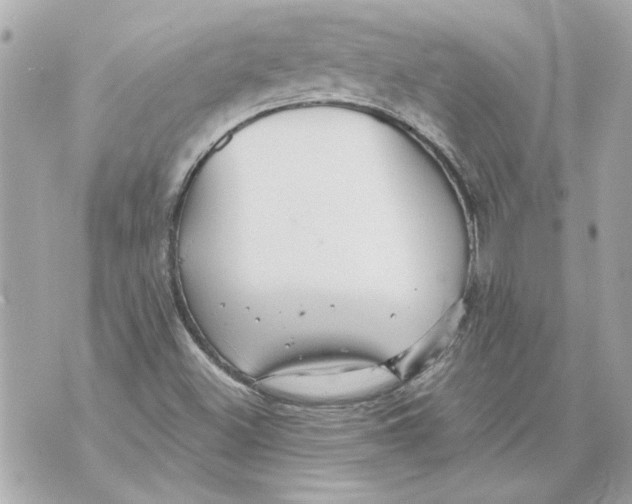 X0000070401500200607072231