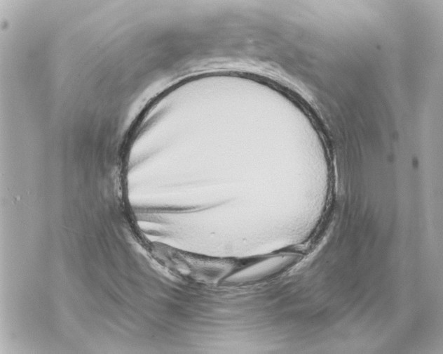 X0000070401501200607072231