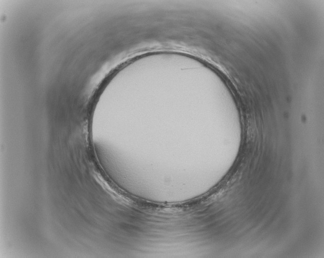 X0000070401503200607072231