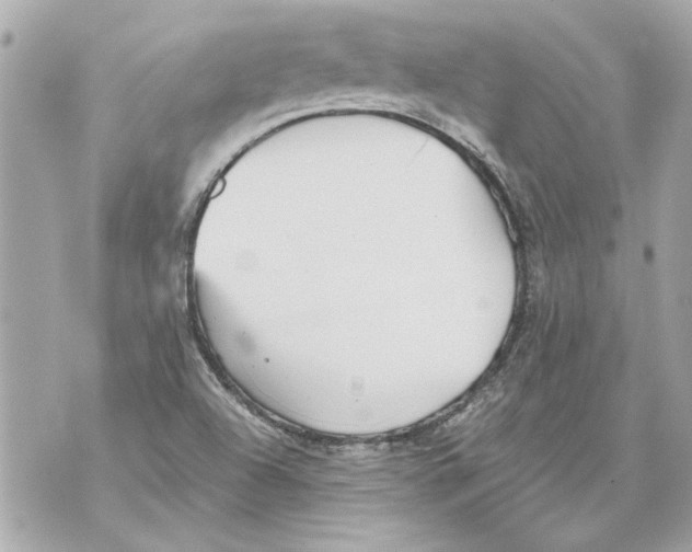 X0000070401504200607072231