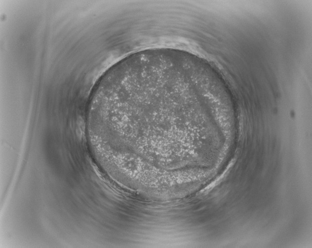 X0000070401505200607072231