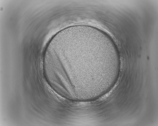 X0000070401506200607072231