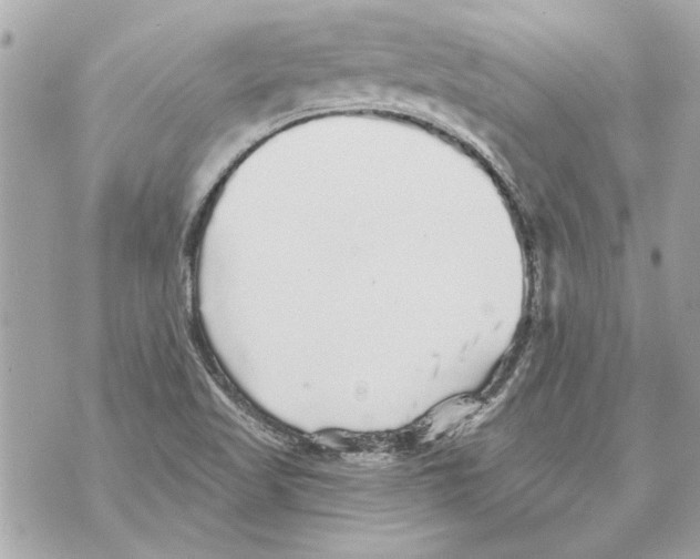 X0000070401509200607072231