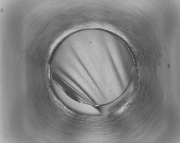 X0000070401510200607072231