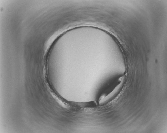 X0000070401511200607072231