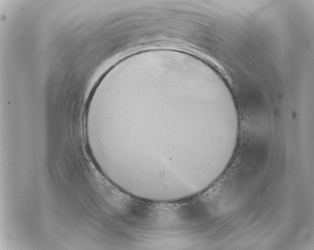 X0000070401514200607072231