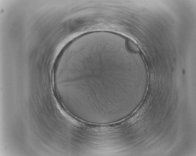 X0000070401515200607072231