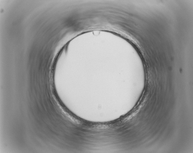 X0000070401517200607072231