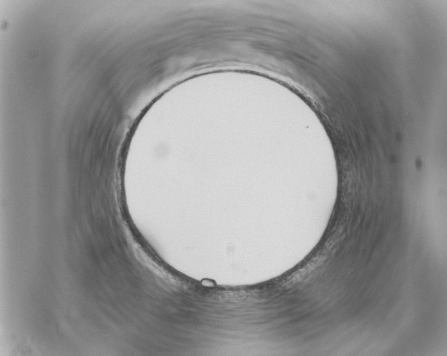 X0000070401518200607072231