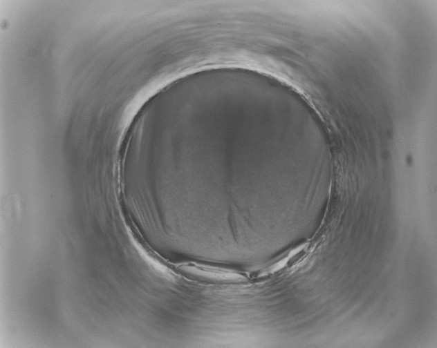 X0000070401519200607072231