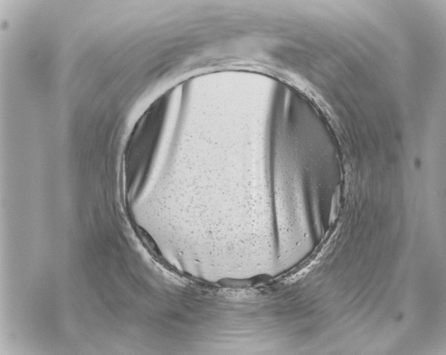 X0000070401520200607072231