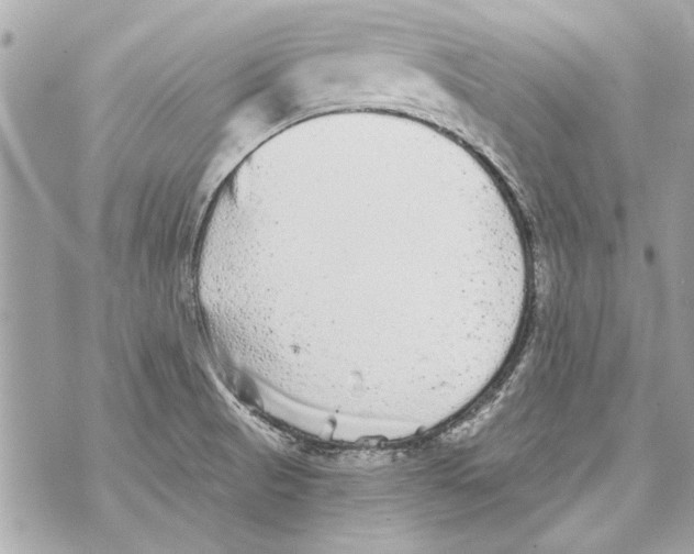 X0000070401521200607072231