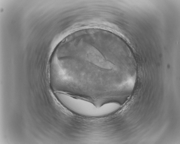 X0000070401522200607072231