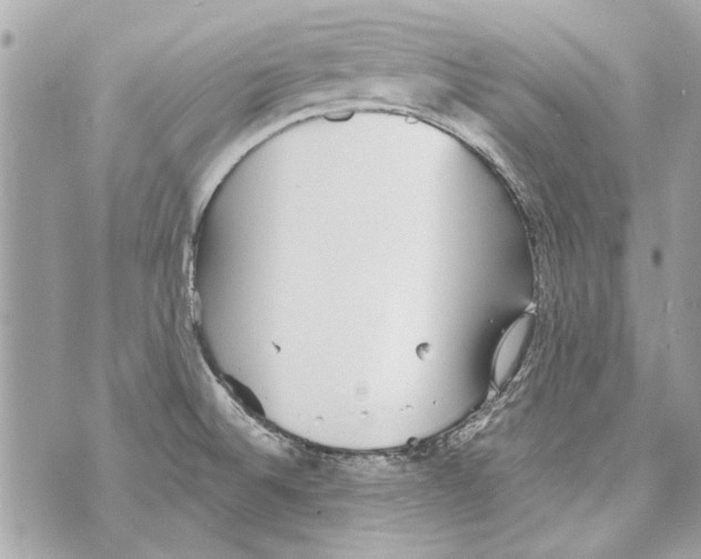 X0000070401524200607072231