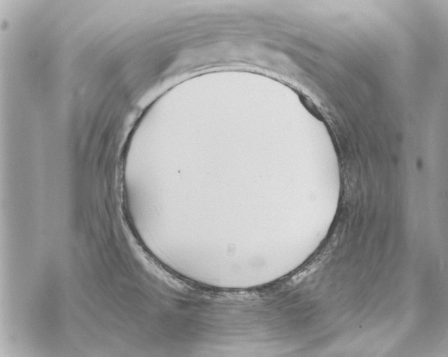 X0000070401526200607072231