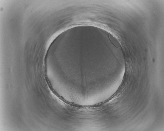 X0000070401527200607072231