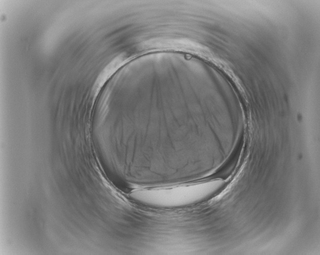 X0000070401529200607072231