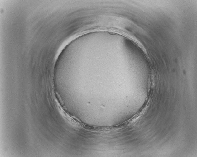 X0000070401530200607072231