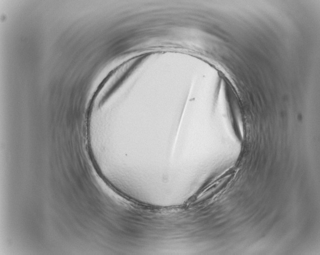 X0000070401531200607072231