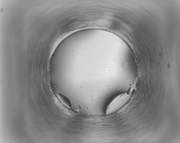 X0000070401532200607072231