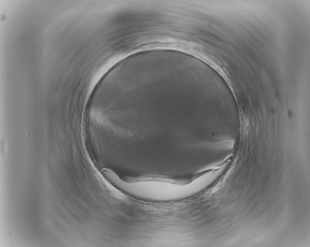 X0000070401533200607072231